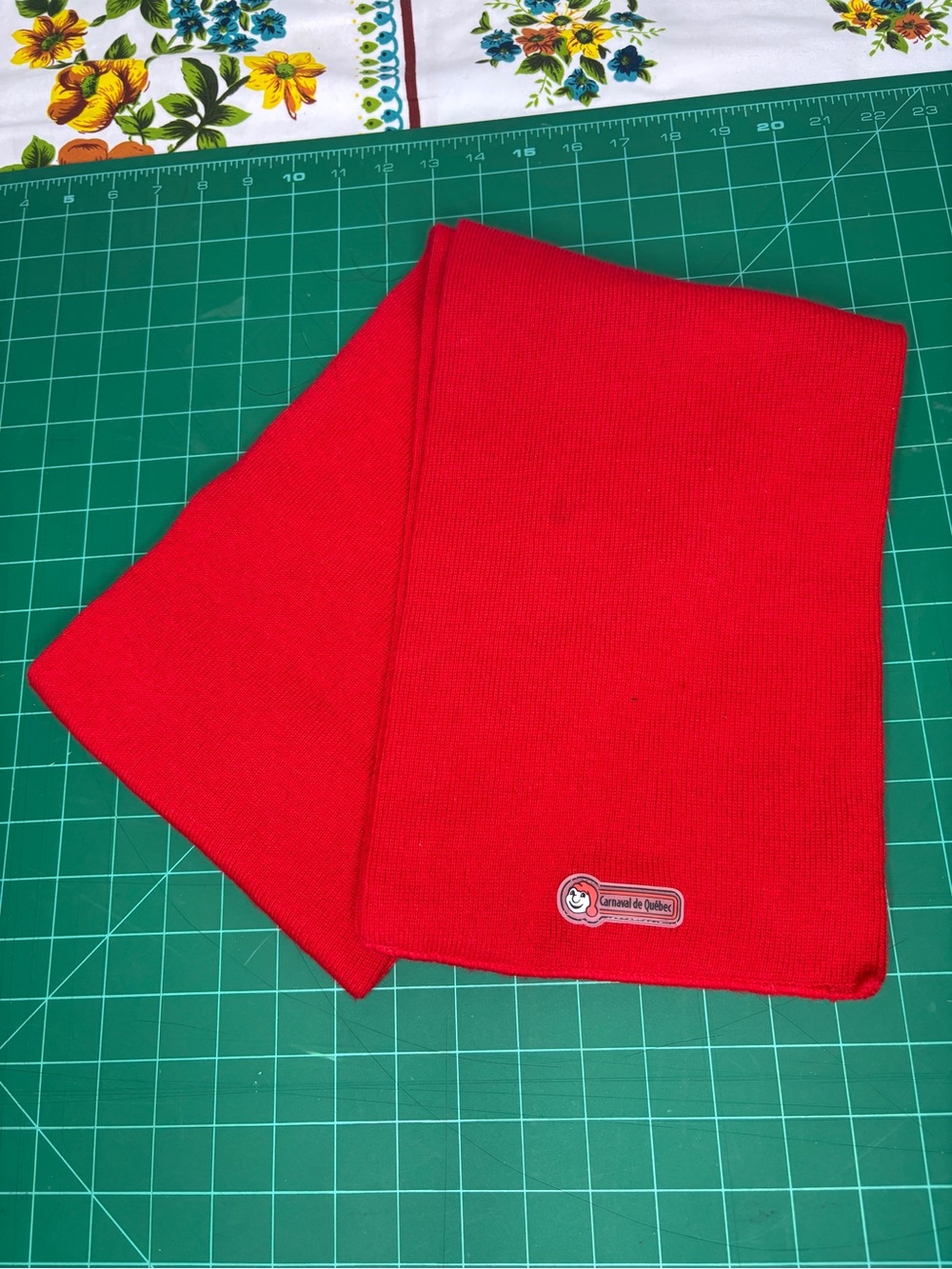 Carnaval de Quebec Bright Red Knitted Scarf Winterwear